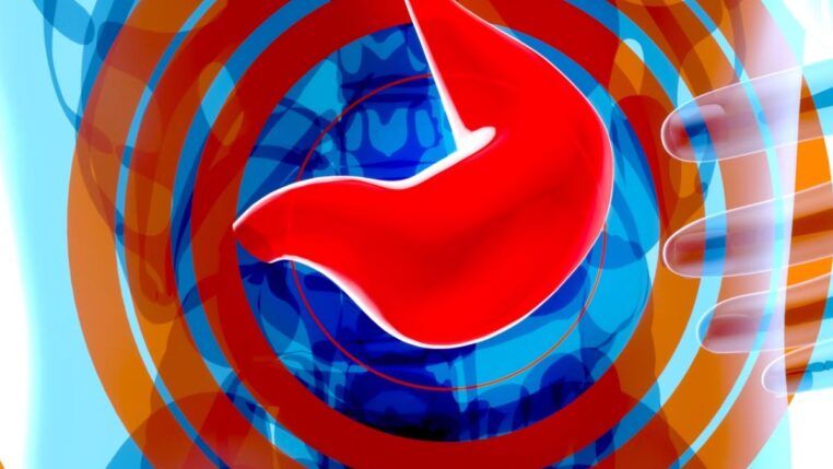 Alerta: esse adoçante popular pode causar gordura no fígado