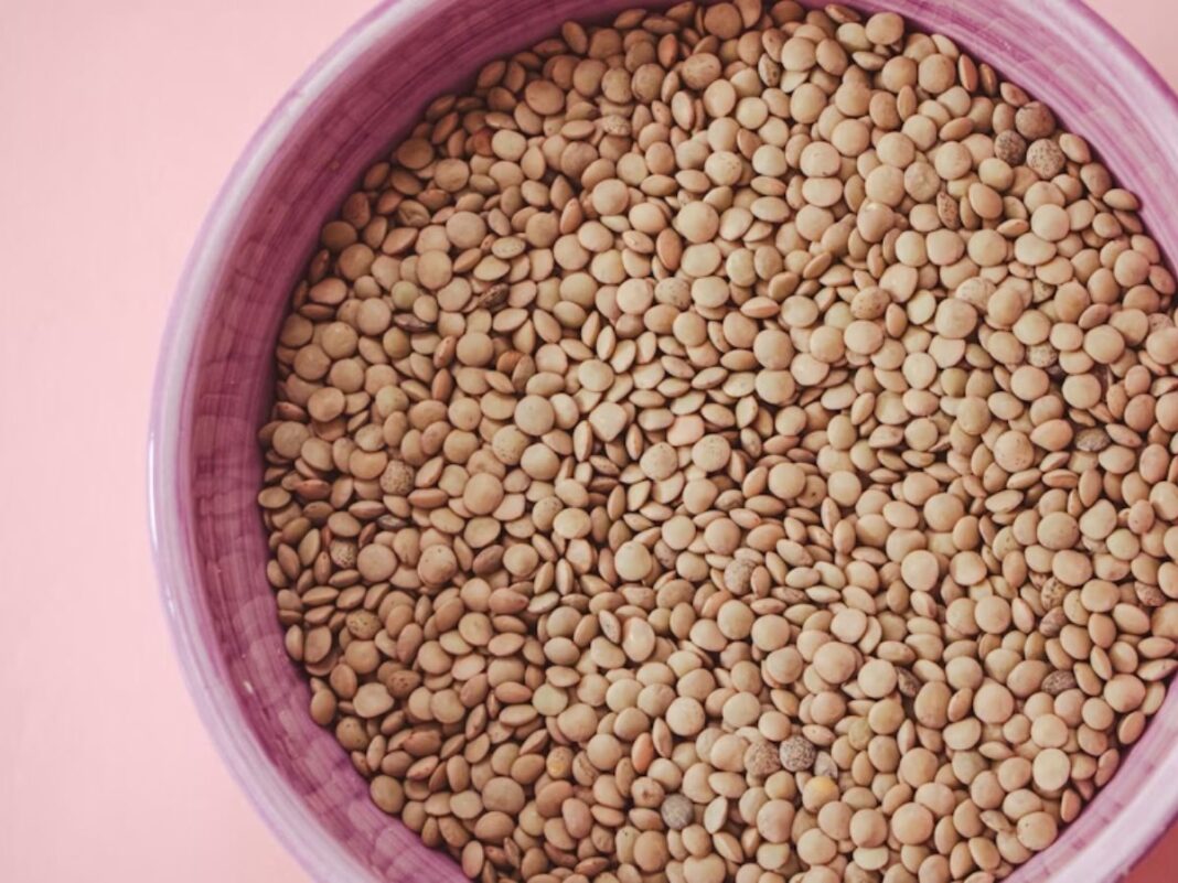 Mistura simples com vinagre aumenta os nutrientes das leguminosas; veja como fazer