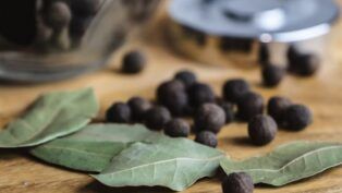 Coloque folha de louro atrás da porta e veja o que acontece