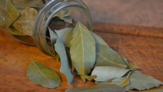 Veja como as folhas de louro podem ajudar a trazer novas energias para o ano-novo