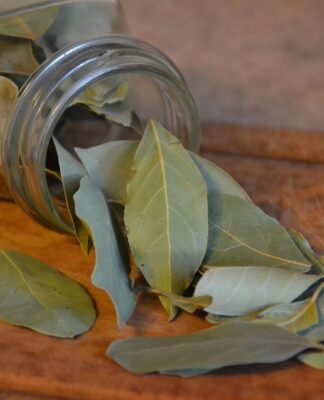 Veja como as folhas de louro podem ajudar a trazer novas energias para o ano-novo