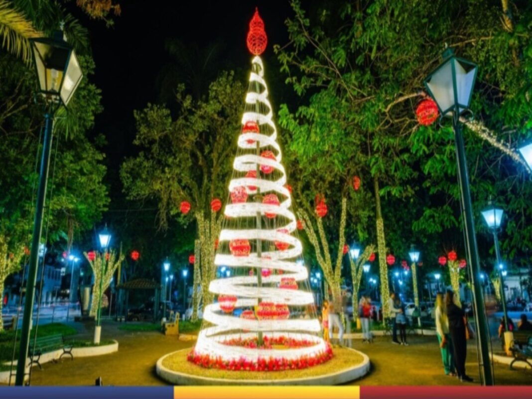 Imagem de uma árvore decorada com luzes na cidade de Socorro
