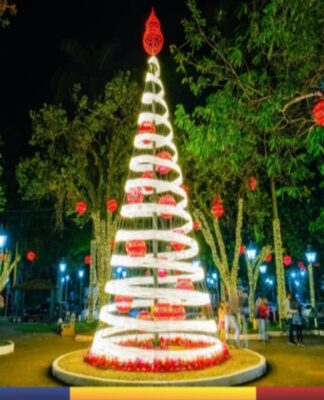 Imagem de uma árvore decorada com luzes na cidade de Socorro
