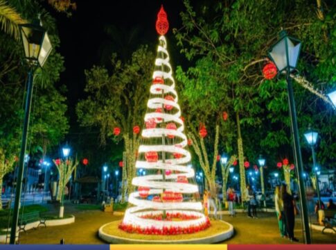 Imagem de uma árvore decorada com luzes na cidade de Socorro