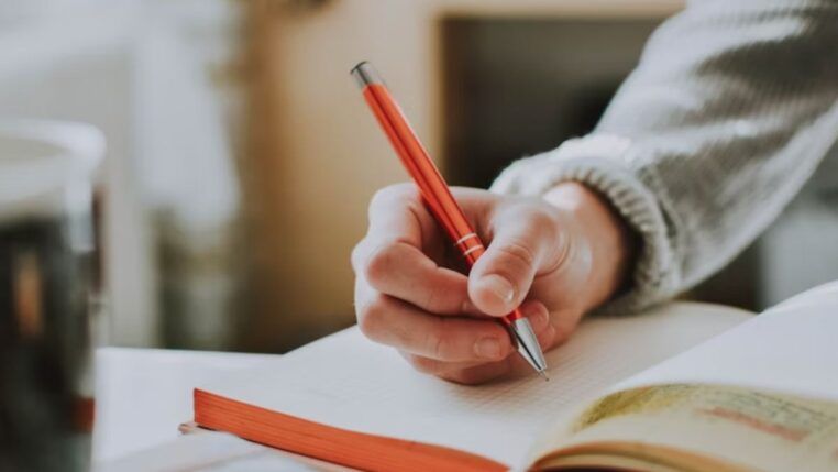 Plataforma do IBGE mostra onde vivem seus xarás pelo país