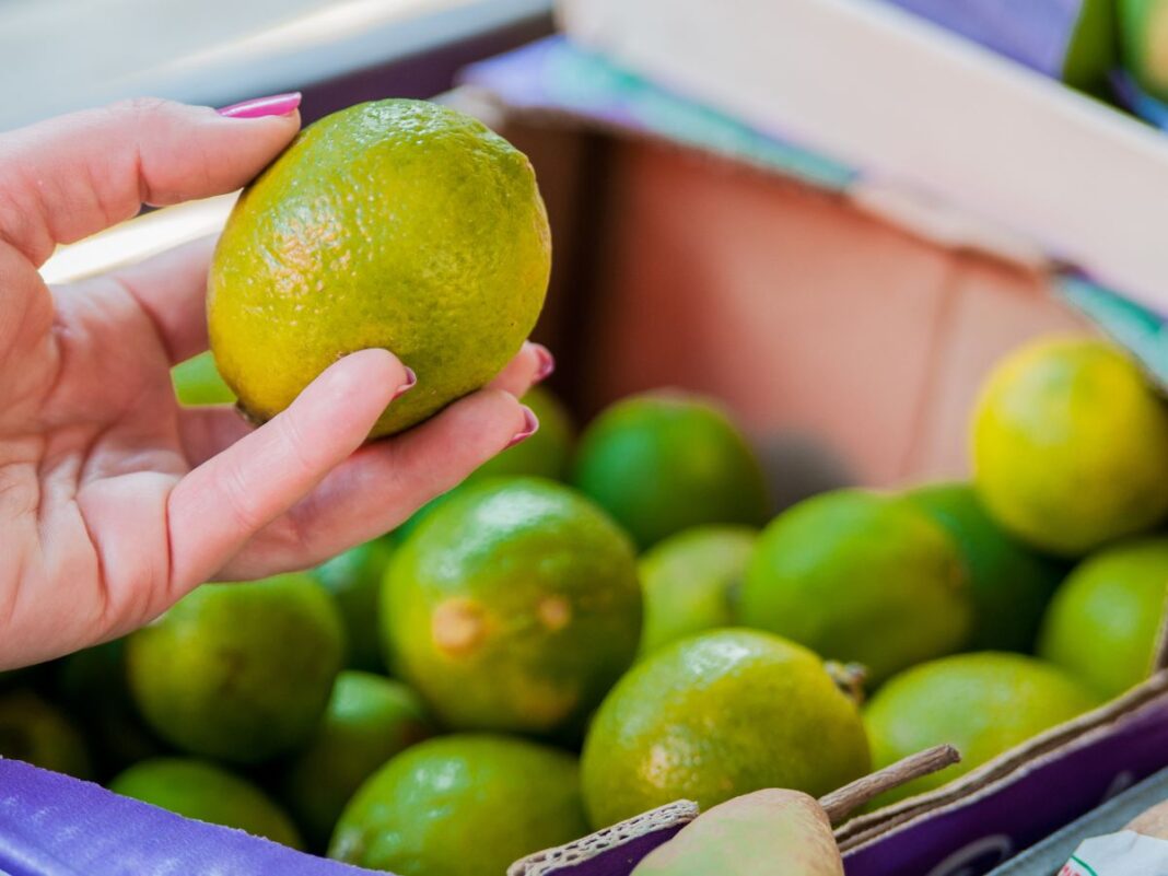 Em imagem ilustrativa, pessoa escolhe limões