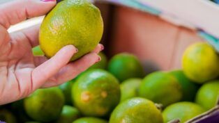 Em imagem ilustrativa, pessoa escolhe limões