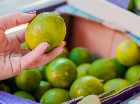 Em imagem ilustrativa, pessoa escolhe limões