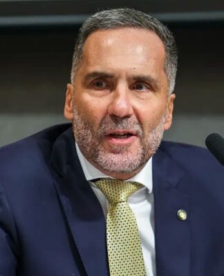 imagem do Mario Sarrubbo