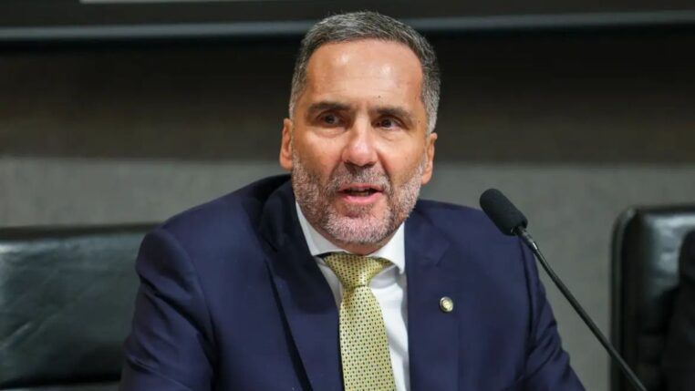 imagem do Mario Sarrubbo