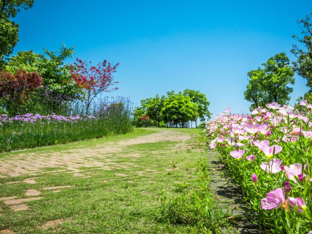 Na foto há um jardim com flores rosas, com grama e diversas árvores.