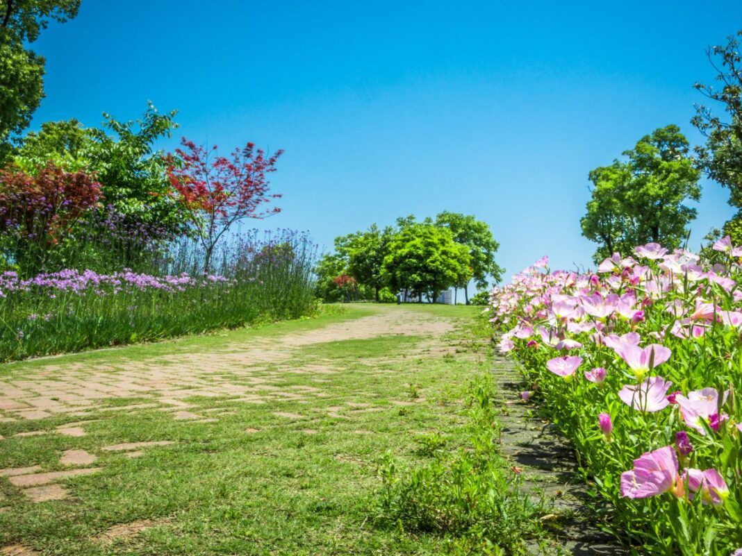 Na foto há um jardim com flores rosas, com grama e diversas árvores.