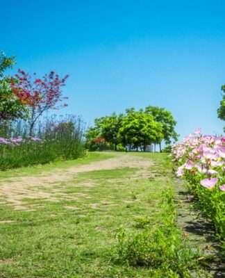 Na foto há um jardim com flores rosas, com grama e diversas árvores.