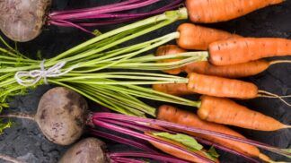 Beterraba e cenoura