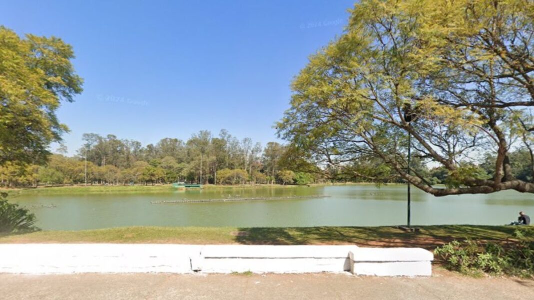 Um lago tranquilo em um parque arborizado, com árvores grandes nas laterais e um céu azul claro. A água esverdeada reflete a vegetação ao redor. Há uma pessoa sentada à direita, apreciando a paisagem, e um amplo gramado à beira do lago.