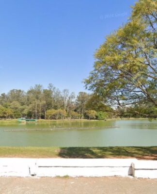 Um lago tranquilo em um parque arborizado, com árvores grandes nas laterais e um céu azul claro. A água esverdeada reflete a vegetação ao redor. Há uma pessoa sentada à direita, apreciando a paisagem, e um amplo gramado à beira do lago.
