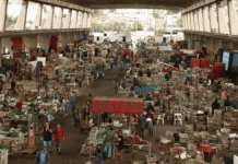 Trabalhadores da Companhia de Entrepostos e Armazéns Gerais de São Paulo - CEAGESP