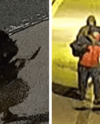 Imagens de câmaras de vigilância mostram os quatro suspeitos do roubo