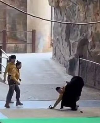 Captura de tela da transmissão do evento, mostrando o urso derrubando o homem no chão