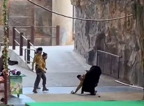 Captura de tela da transmissão do evento, mostrando o urso derrubando o homem no chão