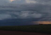 Paraná: 352 cidades sob alerta de tempestade com ventos de 100 km/h