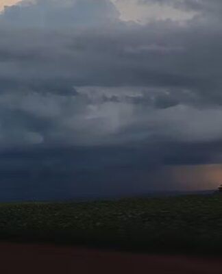 Paraná: 352 cidades sob alerta de tempestade com ventos de 100 km/h