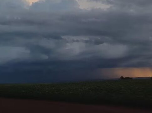 Paraná: 352 cidades sob alerta de tempestade com ventos de 100 km/h
