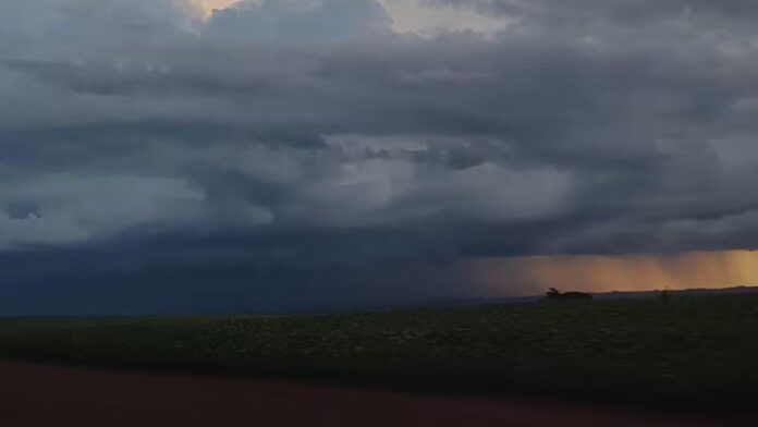 Paraná: 352 cidades sob alerta de tempestade com ventos de 100 km/h