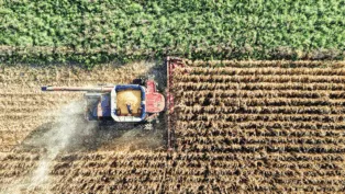 Colheitadeira em um campo agrícola.