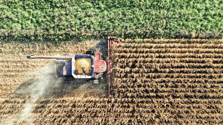 Colheitadeira em um campo agrícola.