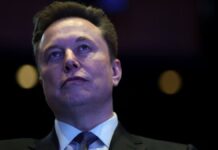 Elon Musk aparece na penumbra