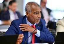 Senador Romário fala ao microfone durante sessão da Casa