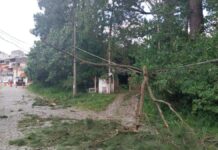A imagem mostra uma cena de destruição causada por uma árvore que caiu sobre a fiação elétrica em uma rua arborizada, provavelmente em um bairro de São Paulo, após um evento de mau tempo.
