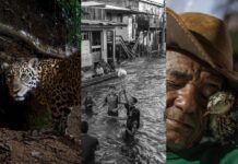 A imagem é uma mescla das três melhores fotos de 2025