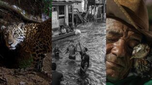 A imagem é uma mescla das três melhores fotos de 2025