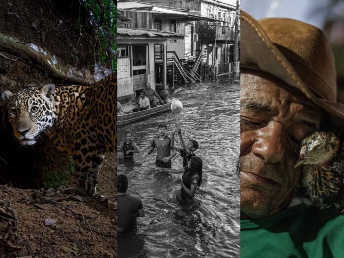 A imagem é uma mescla das três melhores fotos de 2025