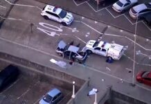 Autores de ataque em Sydney se inspiraram no Estado Islâmico, diz polícia australiana