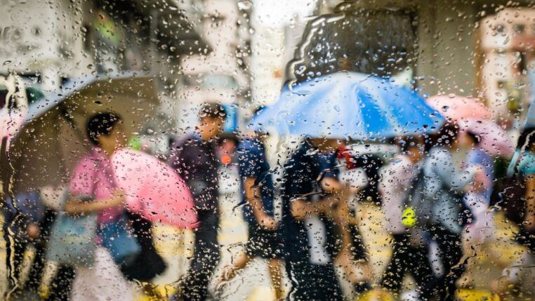 Em imagem ilustrativas, pessoas andam de guarda-chuva em tempo de chuva na rua