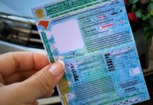 CNH sem autoescola: governo lança aplicativo com novas regras