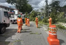 Árvores caídas causaram transtornos e falta de energia em São Paulo