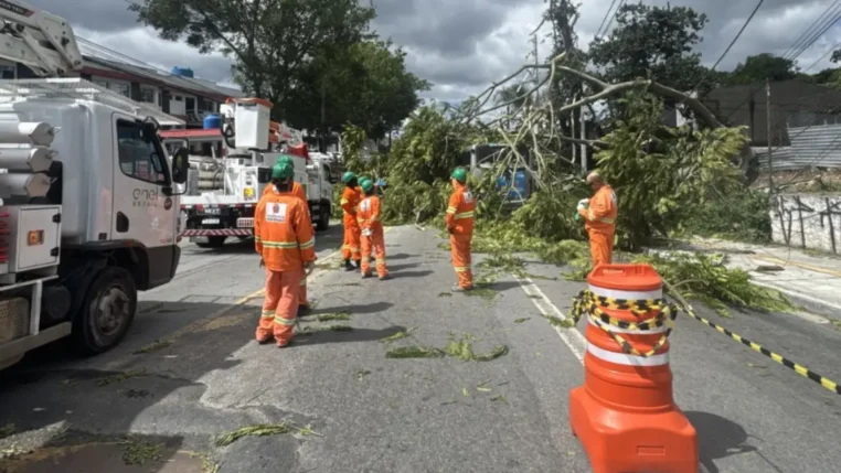 Árvores caídas causaram transtornos e falta de energia em São Paulo
