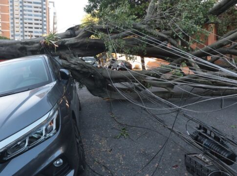 A imagem é um plano médio que documenta os danos causados por uma árvore de grande porte que caiu sobre um carro e a fiação elétrica em uma rua urbana.