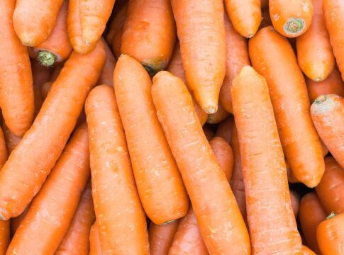 Na foto estão espalhadas diversas cenouras.