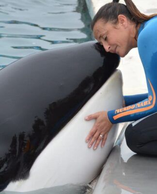 Esta é uma fotografia em close-up que captura um momento de interação íntima e carinhosa entre uma orca (baleia assassina) e uma mulher/treinadora, provavelmente em um parque aquático ou centro de pesquisa.