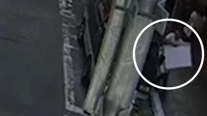 Polícia identifica suspeito de roubo de obras de Matisse e Portinari em SP