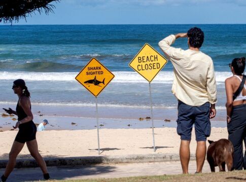 Banhistas caminham pela praia de Queenscliff ao lado de placas de alerta, após o fechamento das praias devido a recentes ataques de tubarão em Sydney, na Austrália