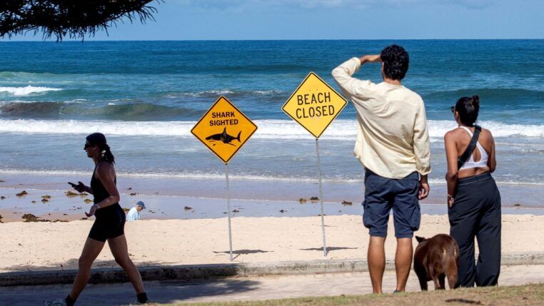 Banhistas caminham pela praia de Queenscliff ao lado de placas de alerta, após o fechamento das praias devido a recentes ataques de tubarão em Sydney, na Austrália