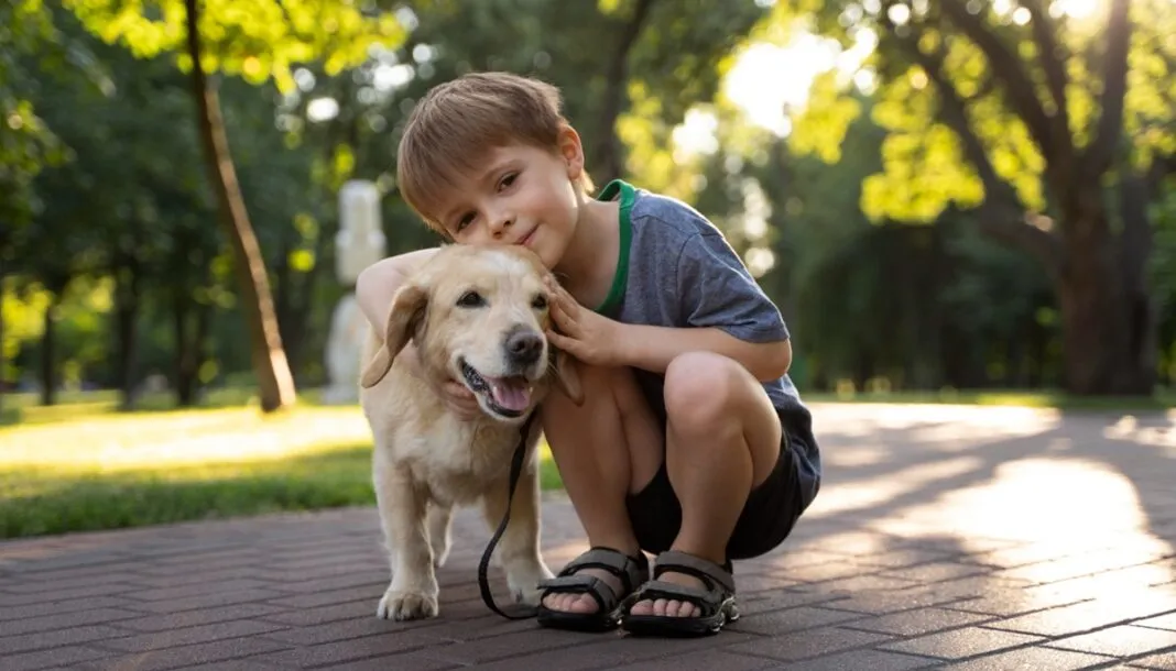 Cachorro com criança em parque