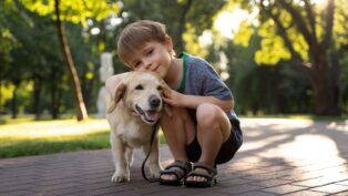 Cachorro com criança em parque