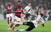 Foto: Gilvan Souza/Flamengo